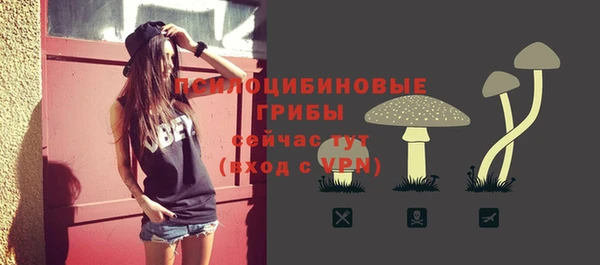 ПСИЛОЦИБИНОВЫЕ ГРИБЫ Лихославль