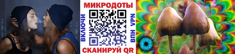 Галлюциногенные грибы MAGIC MUSHROOMS  Сясьстрой 